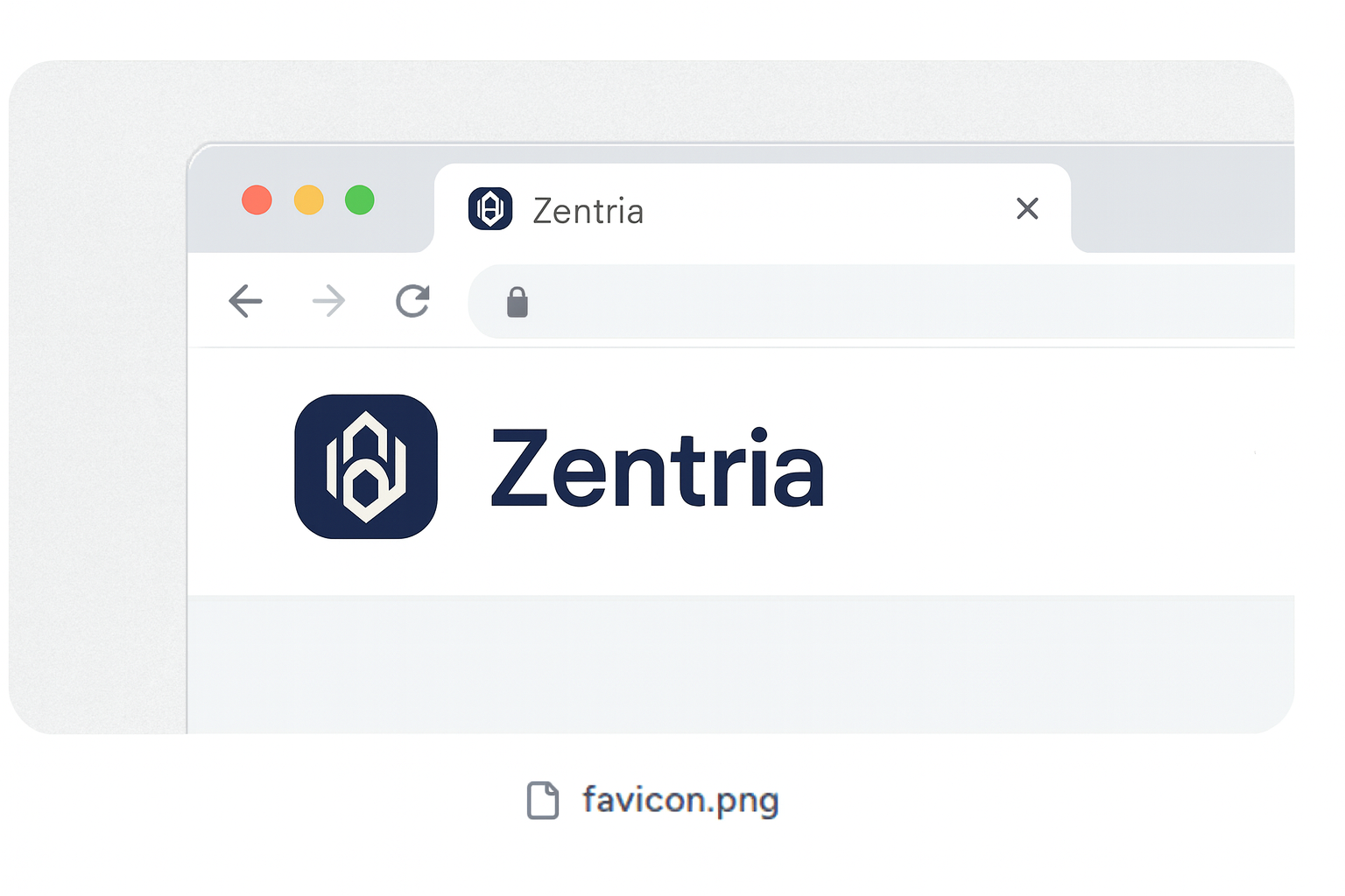 Color palette and brand shapes